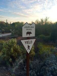 Javelina Crossing sign photo