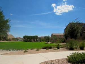 neighborhood common area photo